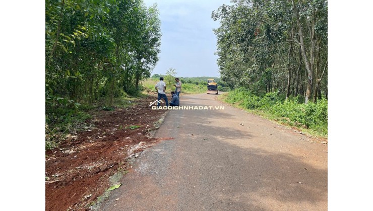 BÁN 7691.5 M² ĐẤT XÃ LONG TÂN, ĐẤT ĐỎ GIÁ 3 TỶ / SÀO. LH:0938677702.