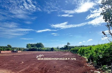 CẦN BÁN LÔ ĐẤT LONG PHƯỚC BRVT – nay thuộc P. TAM LONG, TP.HCM