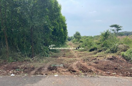 BÁN 7691.5 M² ĐẤT XÃ LONG TÂN, ĐẤT ĐỎ GIÁ 3 TỶ / SÀO. LH:0938677702.