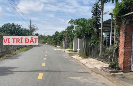 Bán đất mặt tiền đường nhựa có sẵn vườn bưởi tại Trừ Văn Thố Bàu Bàng Bình Dương