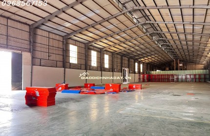 Cho thuê xưởng 2.800m² tại Bến Cát Bình Dương – sân container rộng, điện 250KVA