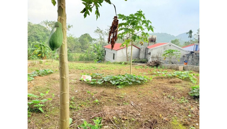  NHÀ VƯỜN LÂM SƠN – LƯƠNG SƠN | 400m THỔ CƯ – SÁT QL6 – GIÁ ĐẦU TƯ