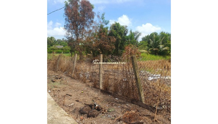 Bán lô đất lúa xã Tân Trụ giá 5,2 tỷ