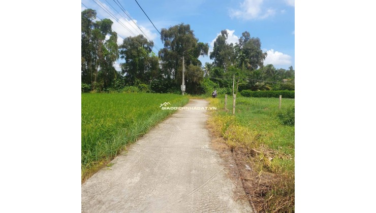 Bán lô đất lúa xã Tân Trụ giá 5,2 tỷ