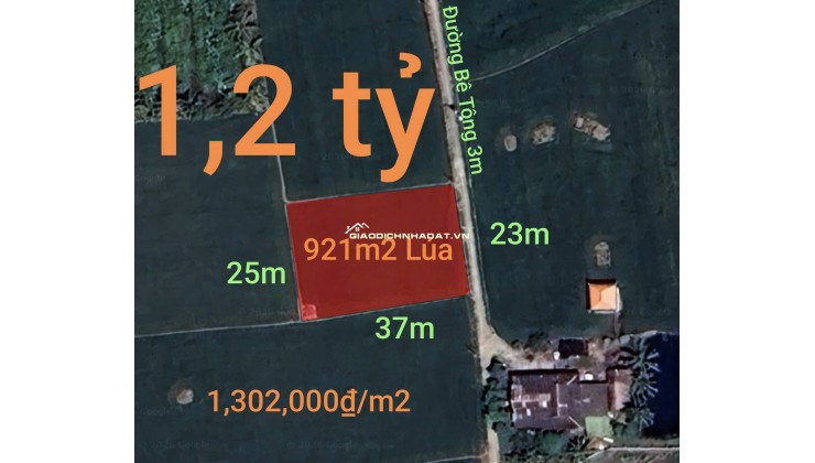 Bán gấp lô đất lúa gần trục động lực giá 1,2 tỷ