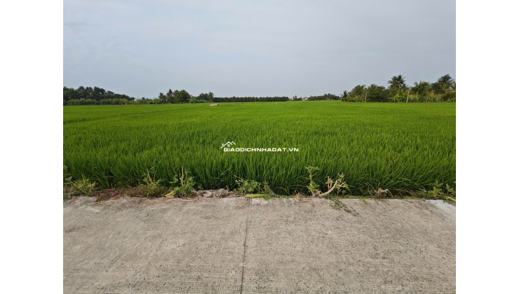 Bán gấp lô đất lúa gần trục động lực giá 1,2 tỷ