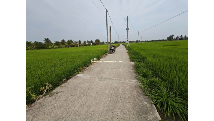 Bán gấp lô đất lúa gần trục động lực giá 1,2 tỷ