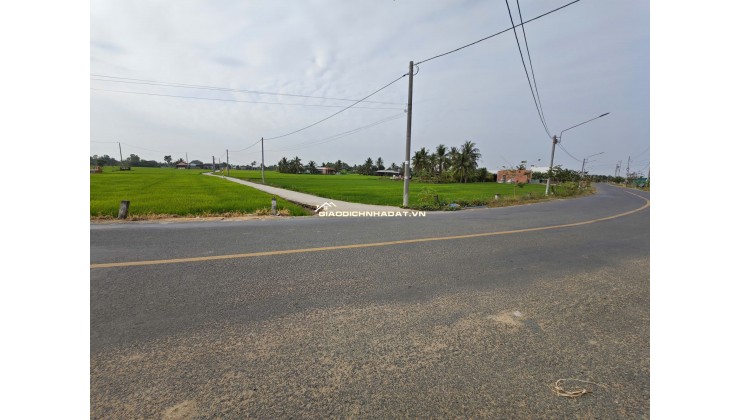 Bán gấp lô đất lúa gần trục động lực giá 1,2 tỷ