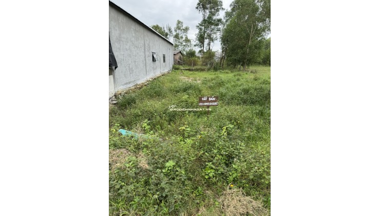 Bán đất tại Phú Gia, Xã Phú Vang, Thành Phố Huế DT: 100 m2 SHR: 620tr. LH: 0906529275