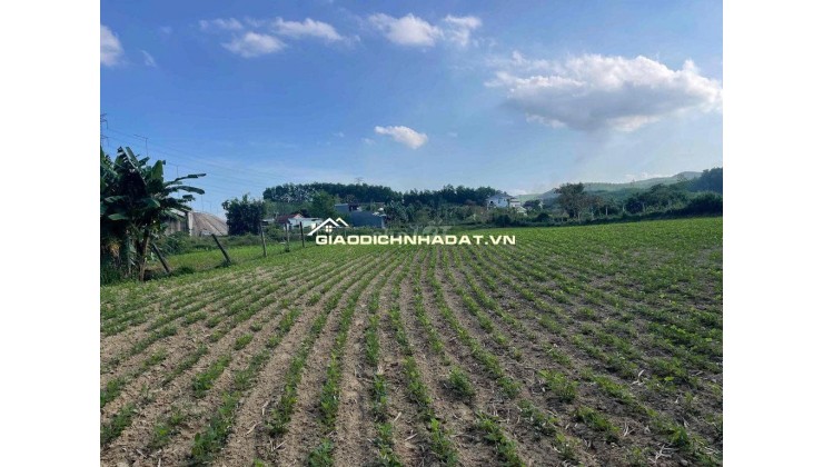 Đất làm vườn nghĩ dưỡng view sông sát đường đi Núi Thần Tài 3800m2 chỉ 5.3 tỷ. Lh:0913913077.