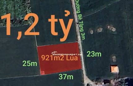 Bán gấp lô đất lúa gần trục động lực giá 1,2 tỷ