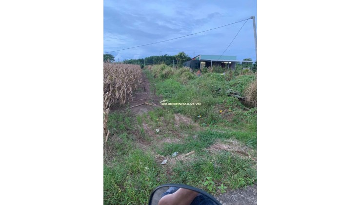 BÁN 4761m2 ĐẤT XÃ LÁNG DÀI, NGAY CHỢ LÁNG DÀI, HUYỆN ĐẤT ĐỎ BÀ RỊA (NAY LÀ XÃ ĐẤT ĐỎ - HCM)