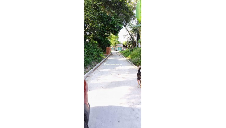 BÁN ĐẤT TẠI KHU PHỐ ĐÔNG TƯ PHƯỜNG LÁI THIÊU, TP. HCM. GIÁ CỰC CHẤT 6,5 TỶ CHO 268M2