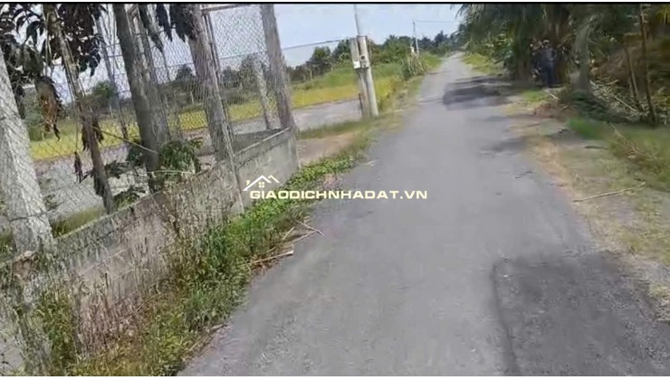 Bán Nhà Vườn 12.000m2, Giá 31 Tỷ, Kênh 12, Xã Lê Minh Xuân Bình Chánh TPHCM