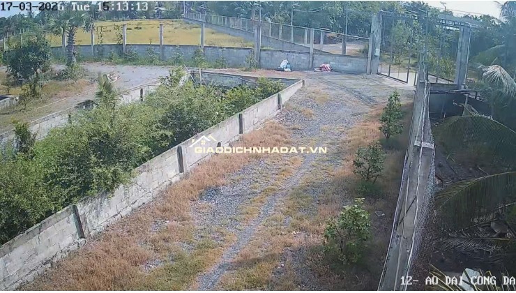 Bán Nhà Vườn 12.000m2, Giá 31 Tỷ, Kênh 12, Xã Lê Minh Xuân Bình Chánh TPHCM