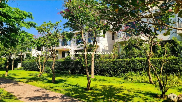 Biệt Thự Hạng Sang The Mizuki - Chiết Khấu Khủng 6.9 Tỷ - Nhận Nhà 11/2026