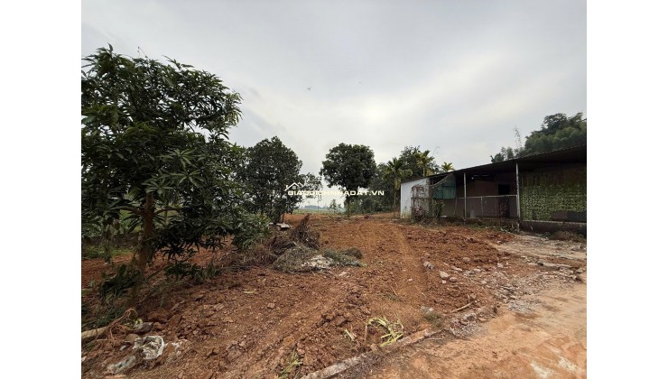 Mảnh đất nghỉ dưỡng tại Thanh Thuỷ, Phú Thọ giá rẻ