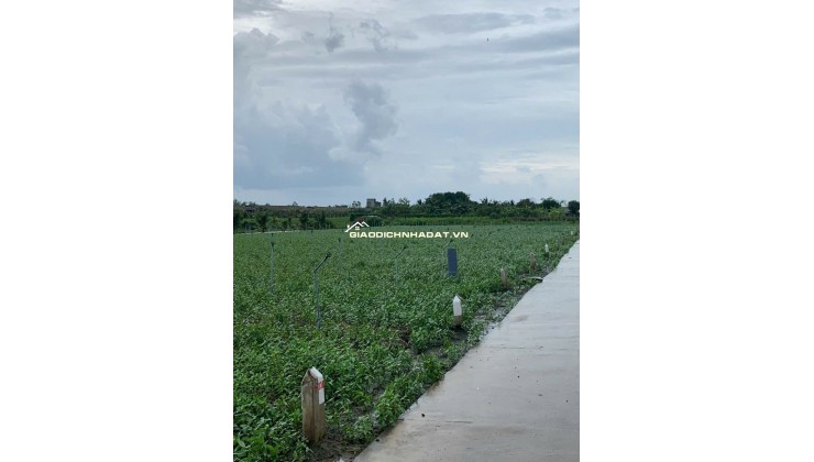 Bán gấp đất nền thổ cư Bà Lẫy Sổ sẵn công chứng ngay