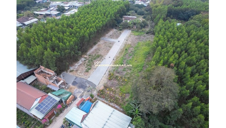 14 NỀN BĐS ĐẤT NỀN BÀU TRE, CÁCH HƯƠNG LỘ 15 CHỈ 400M, PHƯỜNG TÂN TRIỀU, DỒNG NAI