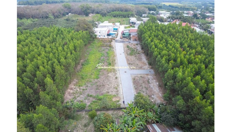 14 NỀN BĐS ĐẤT NỀN BÀU TRE, CÁCH HƯƠNG LỘ 15 CHỈ 400M, PHƯỜNG TÂN TRIỀU, DỒNG NAI