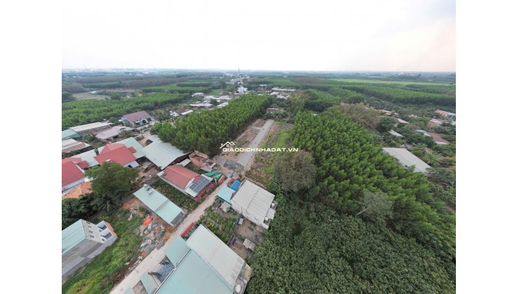 14 NỀN BĐS ĐẤT NỀN BÀU TRE, CÁCH HƯƠNG LỘ 15 CHỈ 400M, PHƯỜNG TÂN TRIỀU, DỒNG NAI