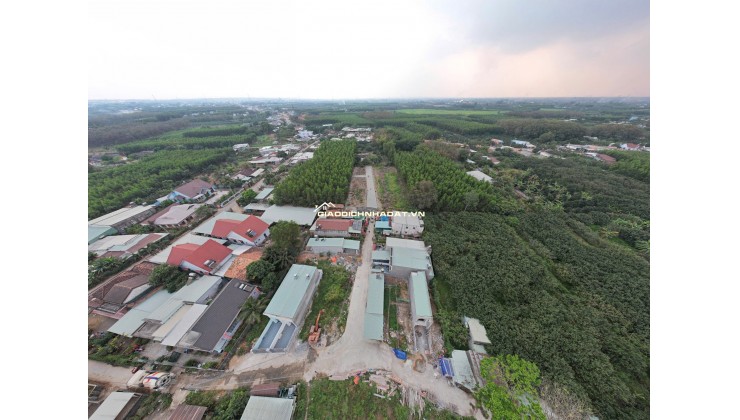 14 NỀN BĐS ĐẤT NỀN BÀU TRE, CÁCH HƯƠNG LỘ 15 CHỈ 400M, PHƯỜNG TÂN TRIỀU, DỒNG NAI