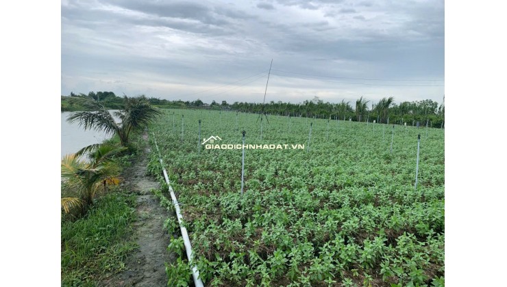 Đất chính chủ cần bán, sổ sẵng Bình Ân