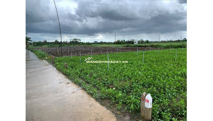 Đất chính chủ cần bán, sổ sẵng Bình Ân