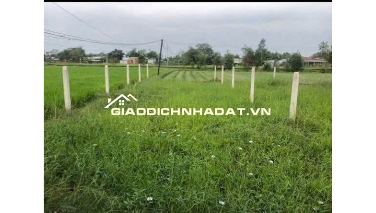 BÁN ĐẤT TẠI ĐỨC HOÀ DT102M2 SHR GIÁ BÁN 890T  THƯƠNG LƯỢNG. LH:0931821989.