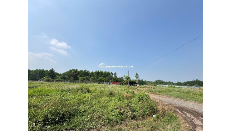 BÁN 3300M2 ĐẤT TẠI PHƯỚC TÂN - TP BIÊN HOÀ. SHR. 33 TỶ. LH:0933449988.