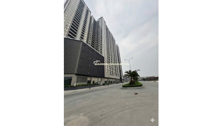 QUỸ CĂN CHUYỂN NHƯỢNG WISTERIA HOÀI ĐỨC GIÁ TỐT THÁNG 3/2026