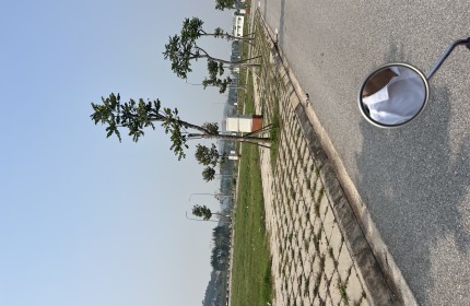 Dự án kđt Đồng Cửa 2 Lục Nam Bắc Giang đã có sổ đỏ sẵn sang tên chuyển nhượng