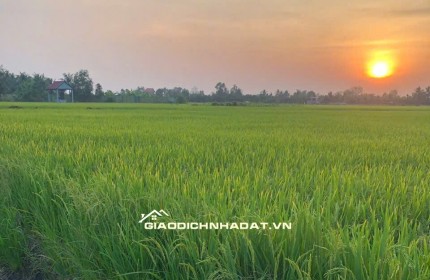 Bán đất nông nghiệp 5311m2 tại đường Bà Miêu, Tân Nhựt, Bình Chánh