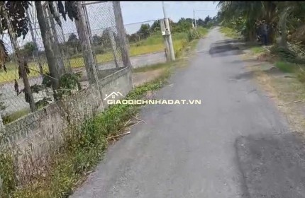 Bán Nhà Vườn 12.000m2, Giá 31 Tỷ, Kênh 12, Xã Lê Minh Xuân Bình Chánh TPHCM