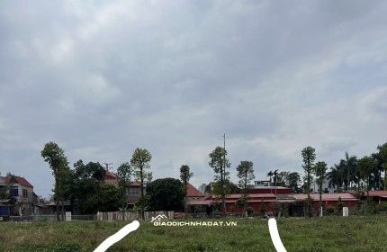 CẦN BÁN GẤP ĐẤT NỀN HÀ NỘI ĐỂ TRẢ NỢ – VỊ TRÍ VÀNG, GIÁ CỰC TỐT