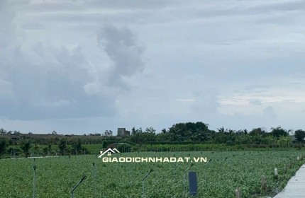 Bán gấp đất nền thổ cư Bà Lẫy Sổ sẵn công chứng ngay