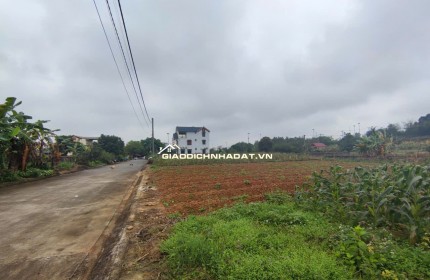 QUỸ ĐẤT ĐẸP TRUNG TÂM HÒA LẠC – SẢN PHẨM DÀNH RIÊNG CHO NHÀ ĐẦU TƯ TẦM NHÌN