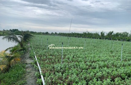 Đất chính chủ cần bán, sổ sẵng Bình Ân