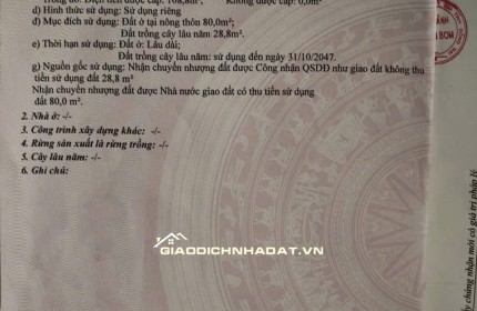 Đất Nền An Viễn Trảng Bom Đồng Nai | sổ hồng riêng