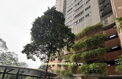 CHÍNH CHỦ BÁN CĂN HỘ 3PN, TÒA D, DT 116M2 SIÊU ĐẸP TẠI MULBERRY LANE – VIEW ĐẲNG CẤP, KHÔNG GIAN SỐNG LÝ TƯỞNG