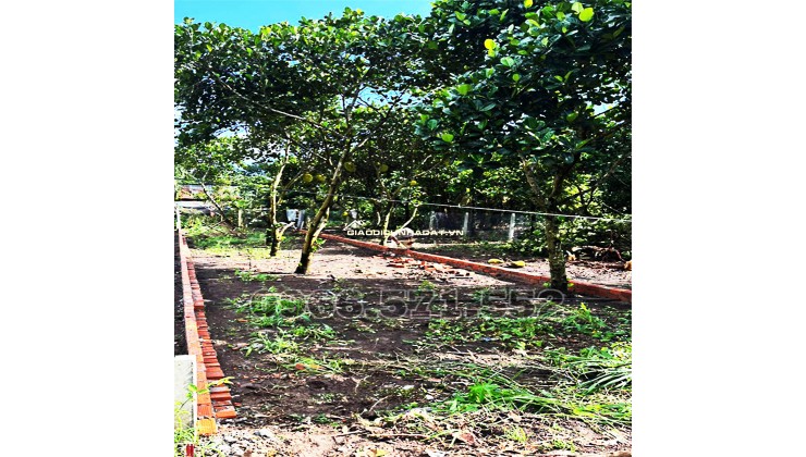 210m² THỔ CƯ, NGAY CHỢ HÀM NGHI – TP LONG KHÁNH – ĐN. CƠ HỘI X2,3 TÀI SẢN.