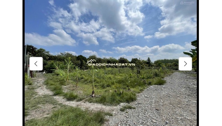 Cho thuê đất MT đường 7m rộng 1 mẫu tại ĐS 812, Xã Phú Mỹ Hưng, Củ Chi