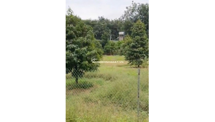 BÁN VƯỜN MÍT TẠI ĐỒNG NAI MỚI DT 5.891M2 SHR CHỈ 50TR/1000M2. LH:0869560747