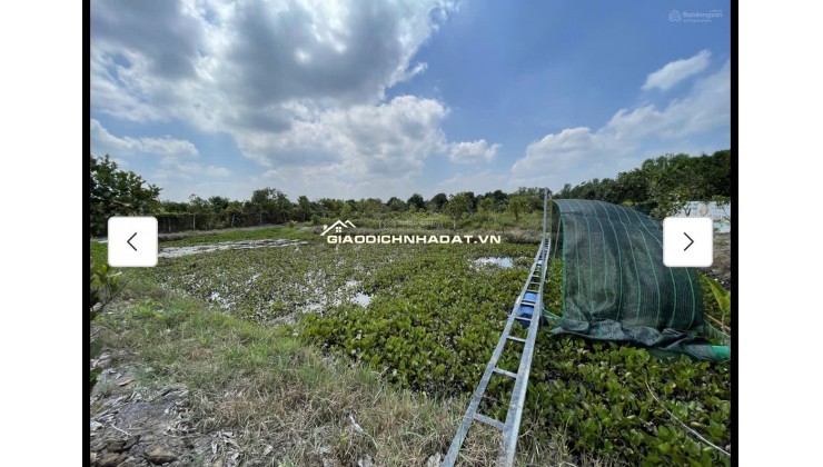 Cho thuê đất MT đường 7m rộng 1 mẫu tại ĐS 812, Xã Phú Mỹ Hưng, Củ Chi