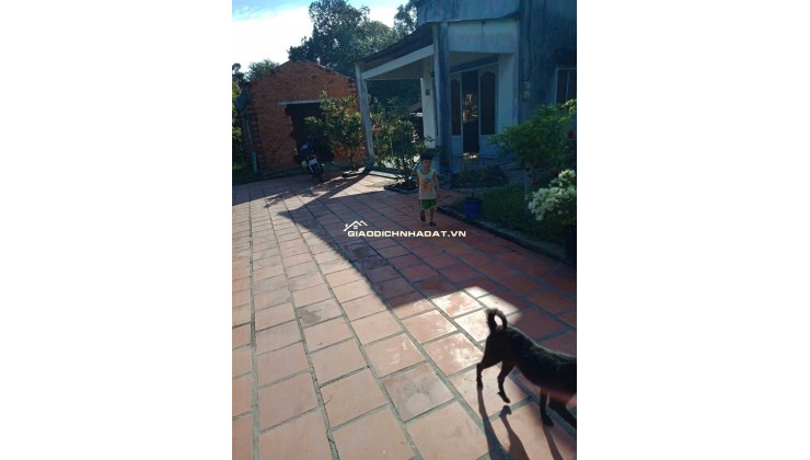 Chính chủ hạ giá bán gấp nhà Vườn Mặt tiền An Nhơn Tây - Củ Chi