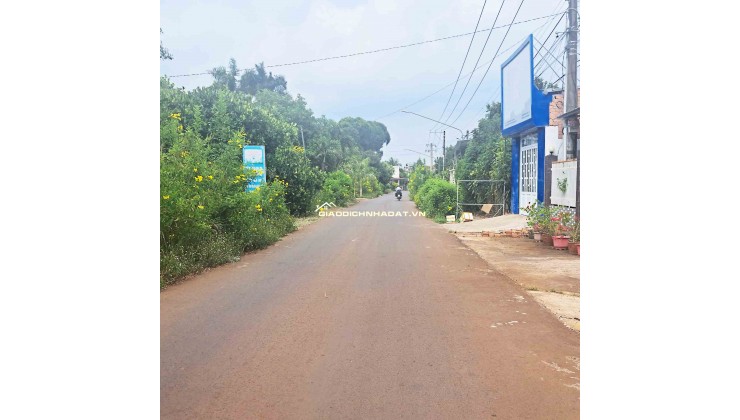 20M MẶT TIỀN ĐƯỜNG NHỰA – GẦN KCN LONG KHÁNH, ĐN, GIÁ CHỈ 980Tr/SỔ