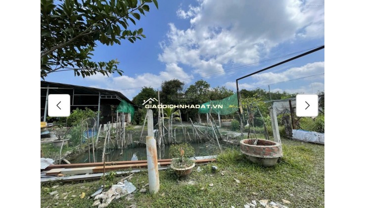 Cho thuê đất MT đường 7m rộng 1 mẫu tại ĐS 812, Xã Phú Mỹ Hưng, Củ Chi