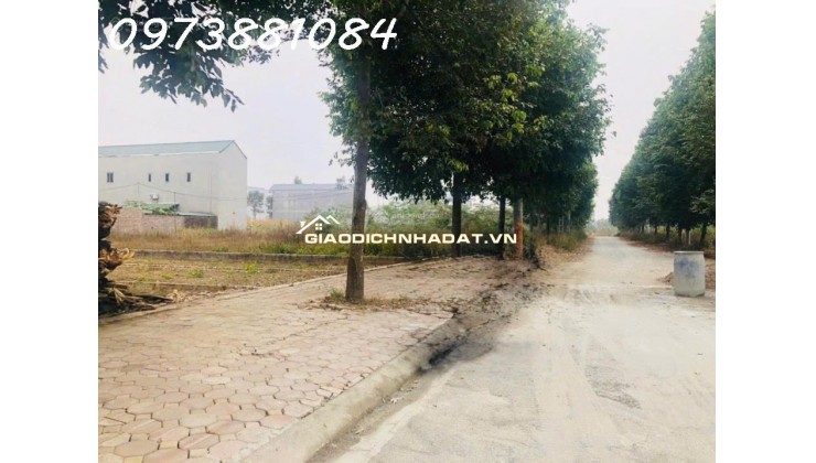 CHỦ CẦN TIỀN BÁN NHANH LÔ ĐẤT SIÊU ĐẸP SÁT KHU ĐẤU GIÁ ĐỒNG MÔ LAKE SIDE