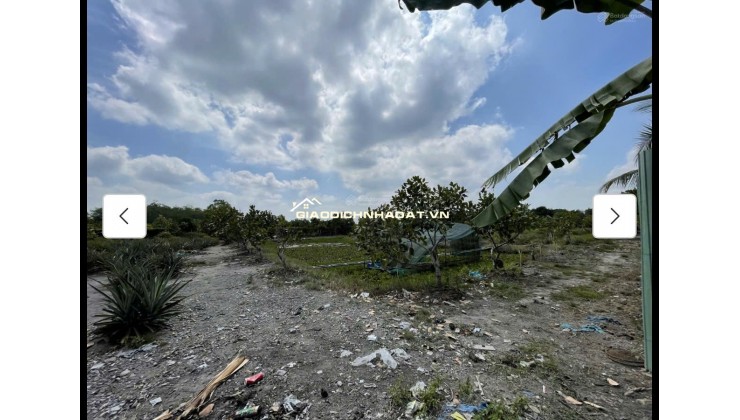 Cho thuê đất MT đường 7m rộng 1 mẫu tại ĐS 812, Xã Phú Mỹ Hưng, Củ Chi