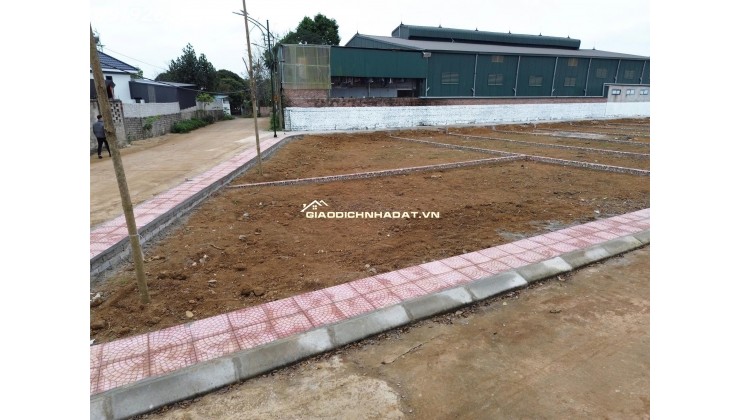 CẦN BÁN GẤP – LÔ ĐẤT VÀNG TRỤC CHÍNH TRẠI LÁNG – GẦN TOMODACHI LÀNG MÍT